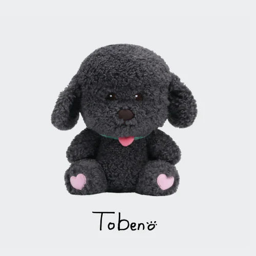 CHANYEOL - 40CM Doll [2024 Live Tour 'City-scape' Official MD]